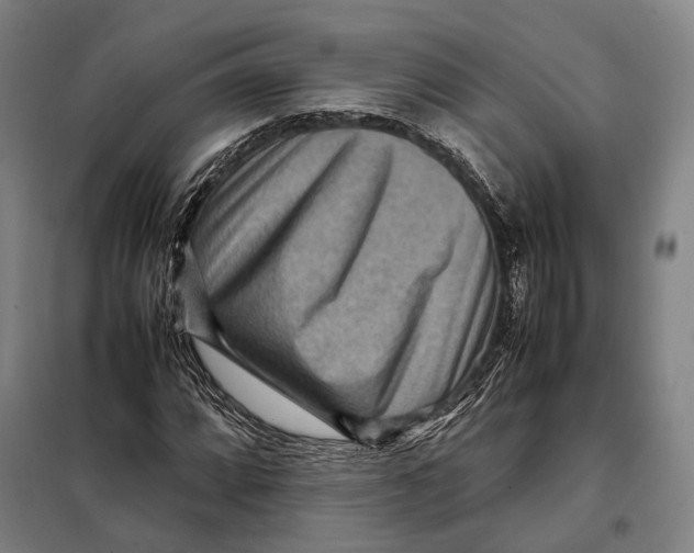 X0000097921064200804041519