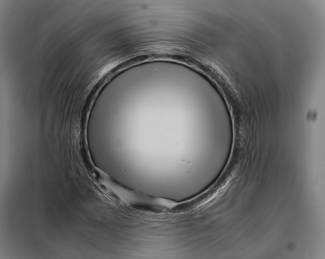 X0000097921065200804041519