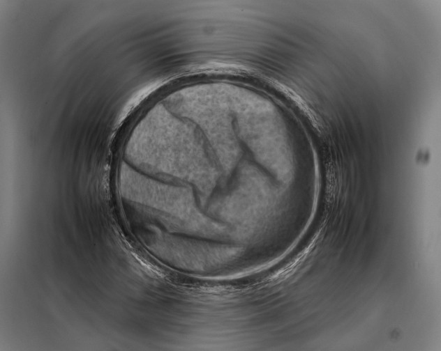 X0000097921066200804041519