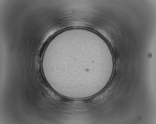 X0000097921067200804041519