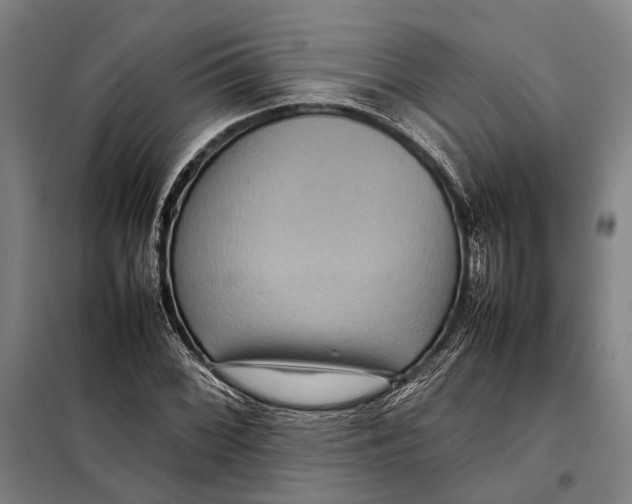 X0000097921068200804041519