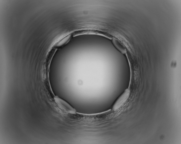 X0000097921069200804041519