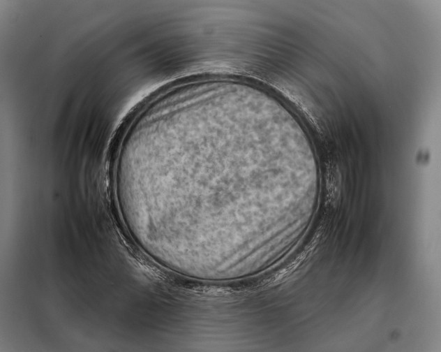 X0000097921070200804041519