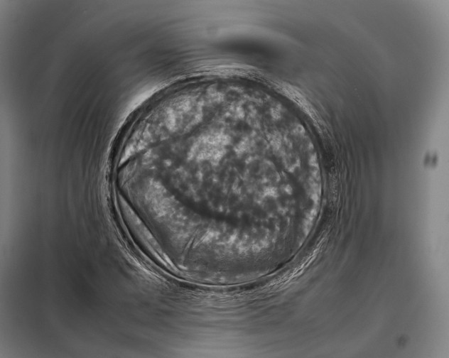 X0000097921071200804041519