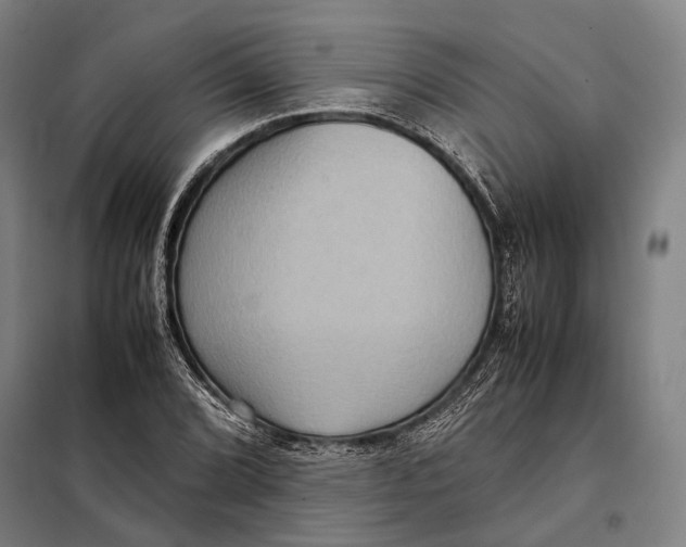 X0000097921072200804041519