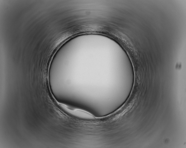 X0000097921073200804041519