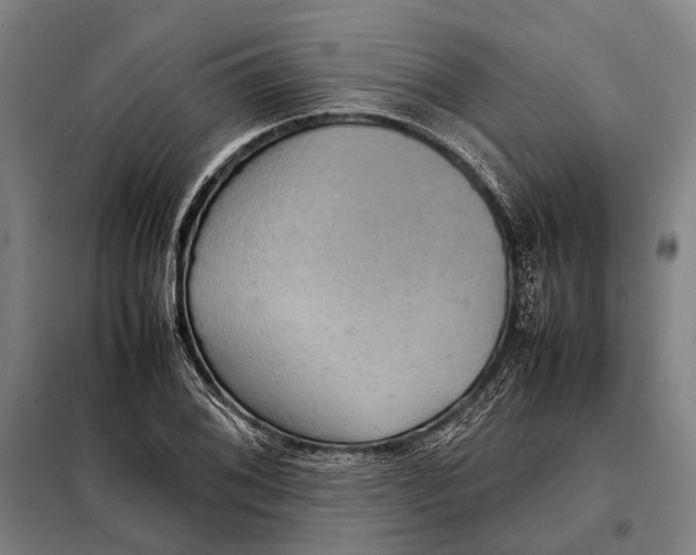 X0000097921076200804041519