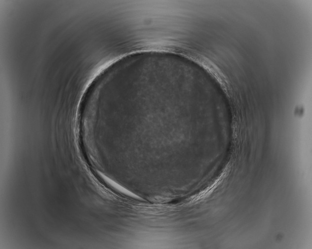 X0000097921077200804041519