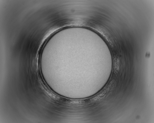 X0000097921078200804041519