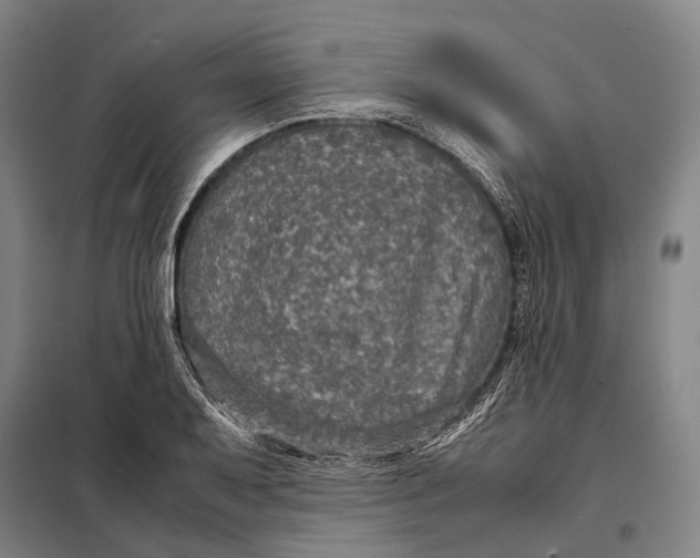 X0000097921079200804041519