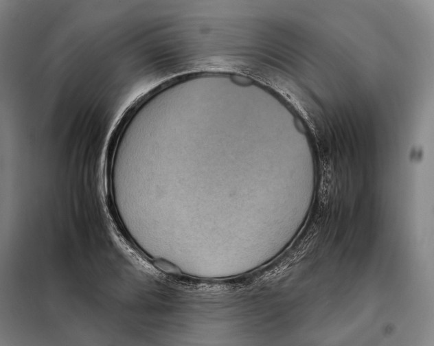 X0000097921080200804041519