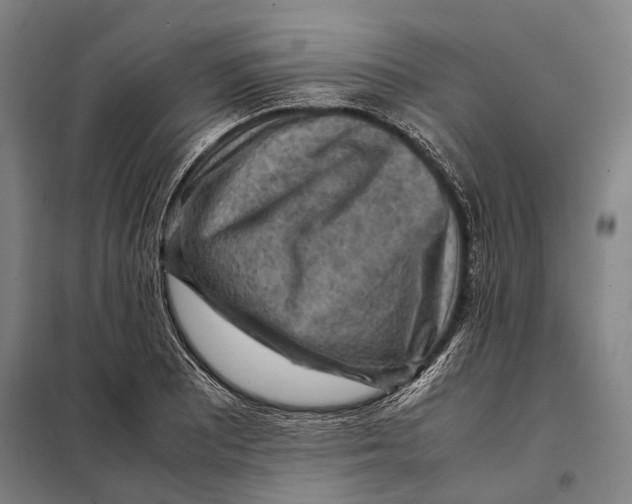 X0000097921081200804041519