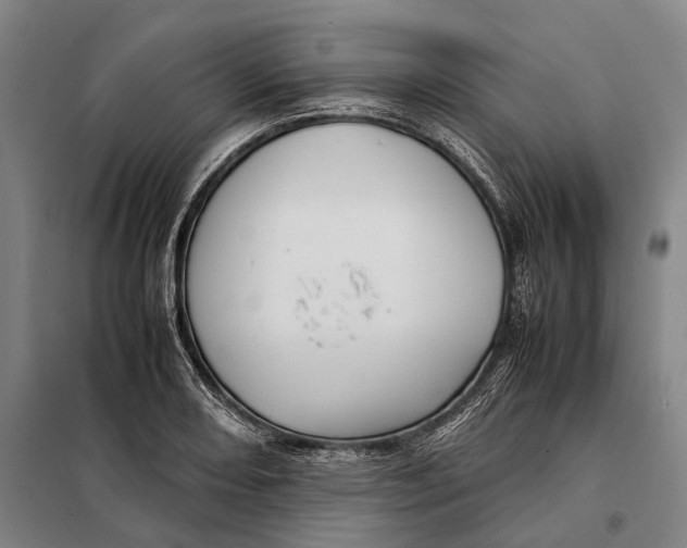 X0000097921082200804041519