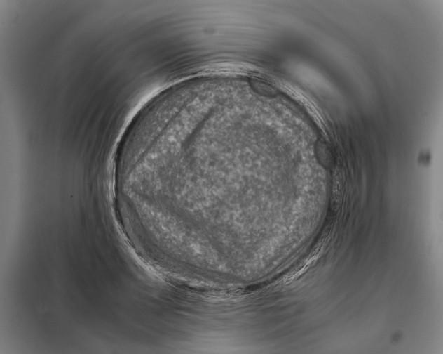 X0000097921083200804041519