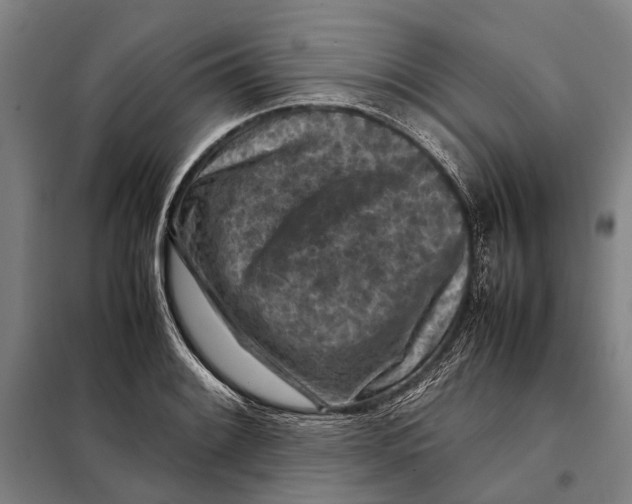 X0000097921084200804041519