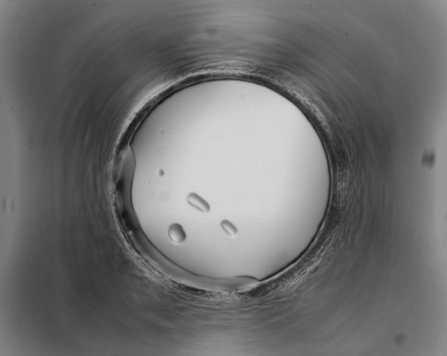 X0000097921085200804041519