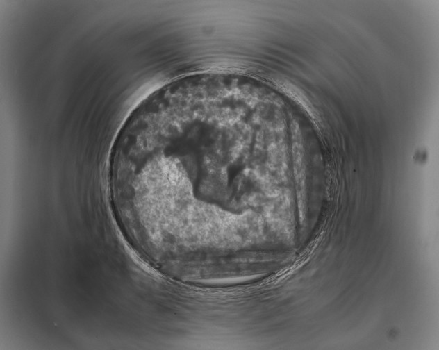 X0000097921087200804041519