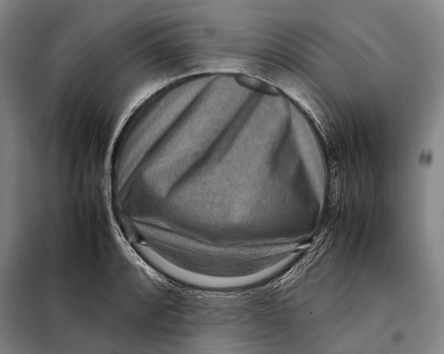 X0000097921088200804041519