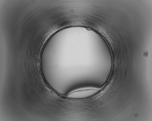 X0000097921089200804041519