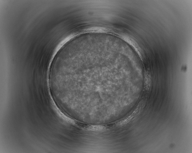 X0000097921090200804041519