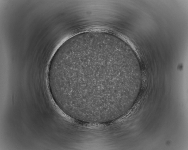 X0000097921091200804041519