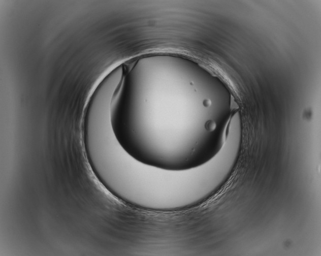 X0000097921092200804041518