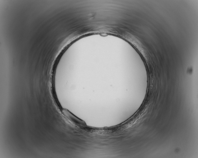 X0000097921093200804041518