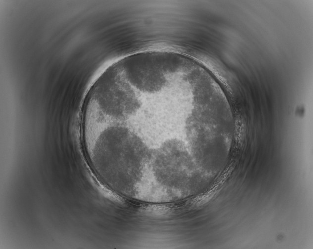 X0000097921094200804041518