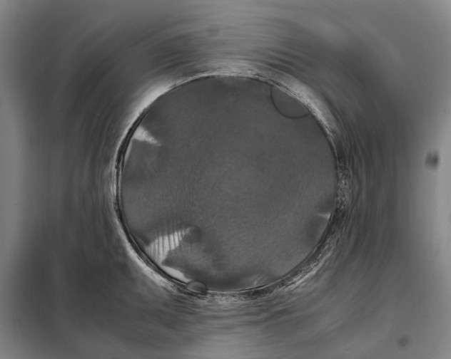 X0000097921095200804041518