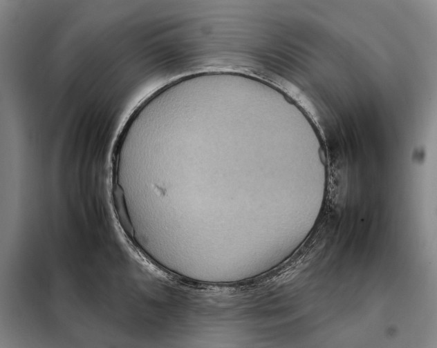 X0000097921096200804041518