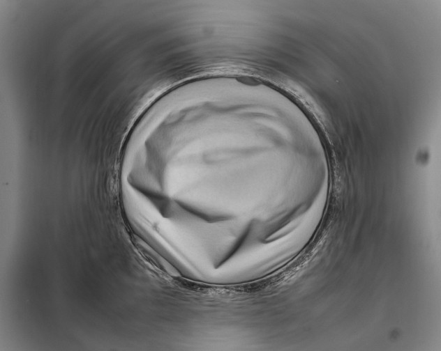 X0000097921097200804041518