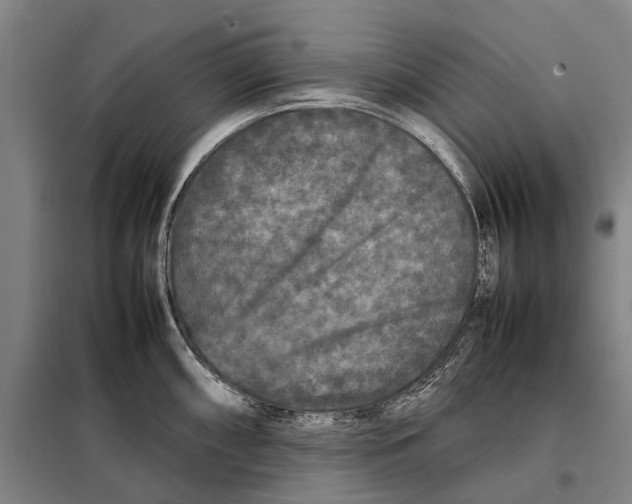 X0000097921098200804041518