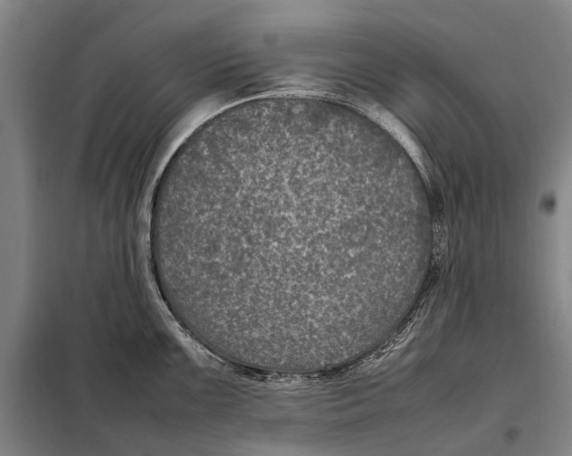 X0000097921099200804041518