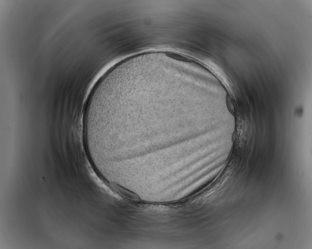 X0000097921100200804041518