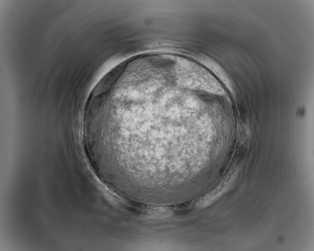 X0000097921101200804041518