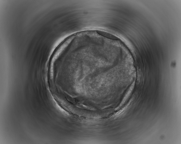 X0000097921102200804041518