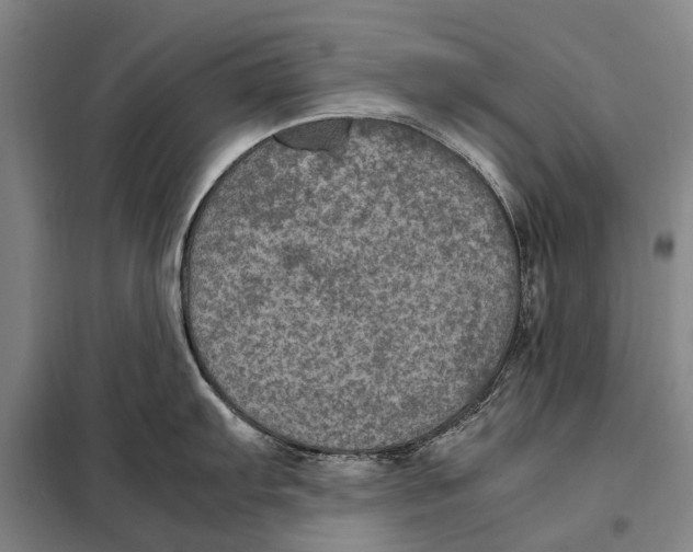 X0000097921103200804041518