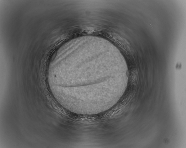 X0000097921105200804041518