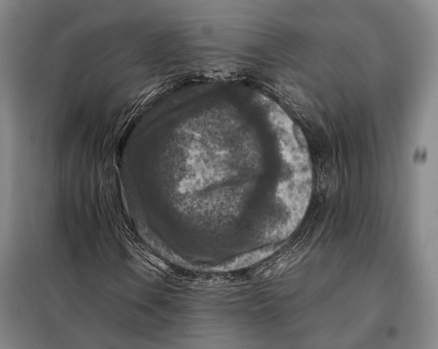 X0000097921106200804041518