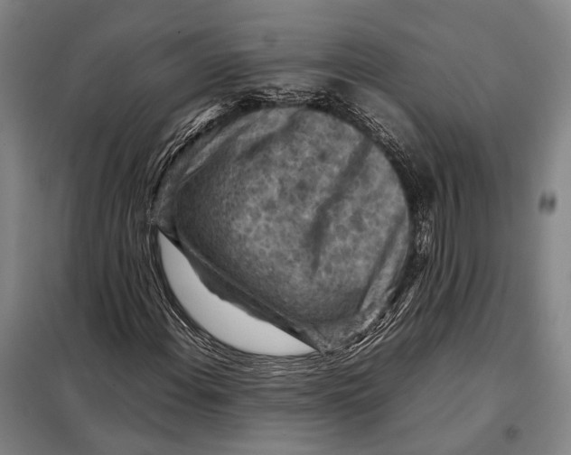 X0000097921108200804041518