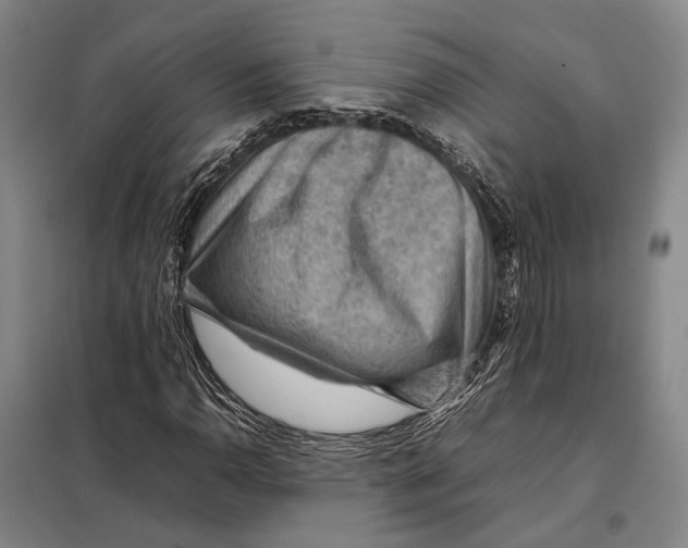 X0000097921110200804041518