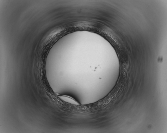 X0000097921111200804041518