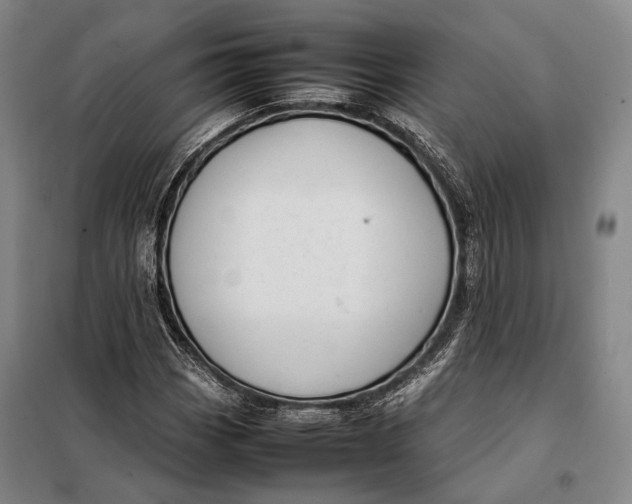 X0000097921113200804041518