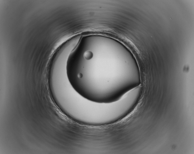 X0000097921114200804041518