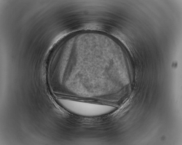 X0000097921115200804041518