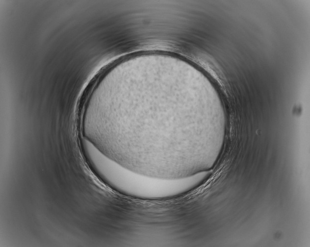 X0000097921116200804041518