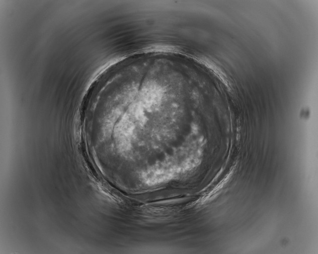 X0000097921117200804041518