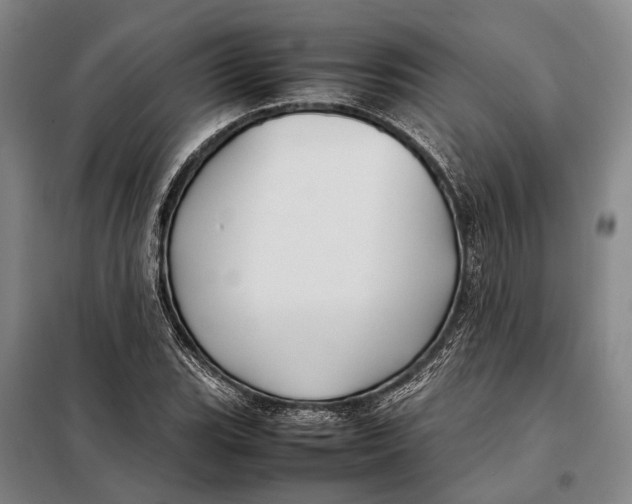 X0000097921119200804041518