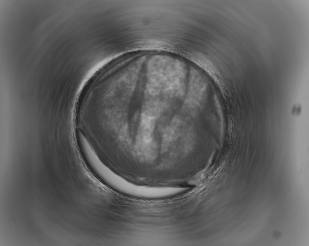 X0000097921120200804041518