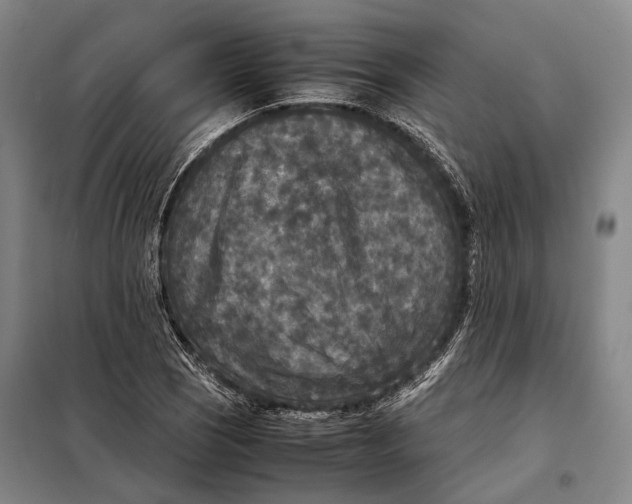 X0000097921121200804041518